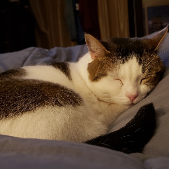 Meet your Posher, Rebecca - Picture 4 of 4